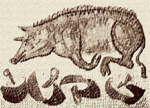 cinghiale