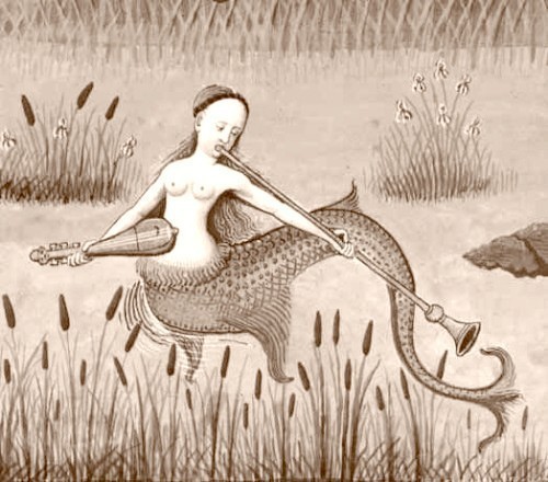anguana sirena