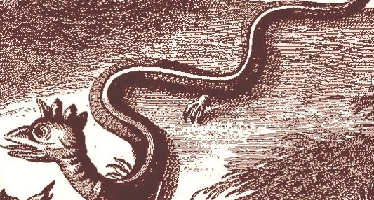 Folklore romagnolo e folklore sardo