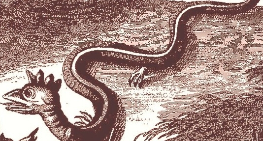 Folklore romagnolo e folklore sardo