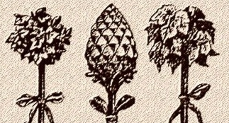 Il simbolismo della pigna