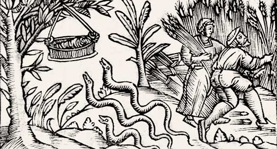 Le origini della figura della "Bessabova"