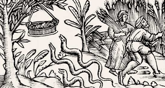 Le origini della figura della "Bessabova"