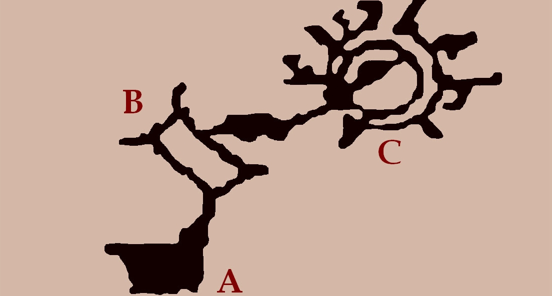 Un molino sulla riva del mare