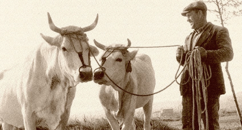 Espressioni romagnole cadute in disuso
