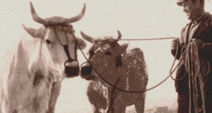 Rò e Bunì - Variazioni linguistiche